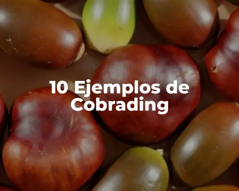 10 Ejemplos de Cobrading
