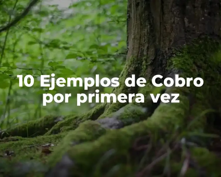 10 Ejemplos de Cobro por primera vez