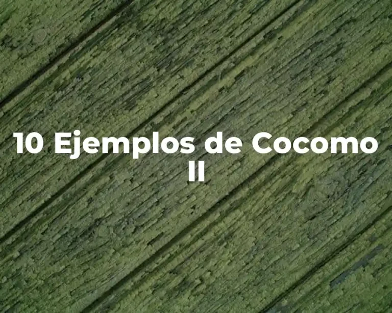 10 Ejemplos de Cocomo II