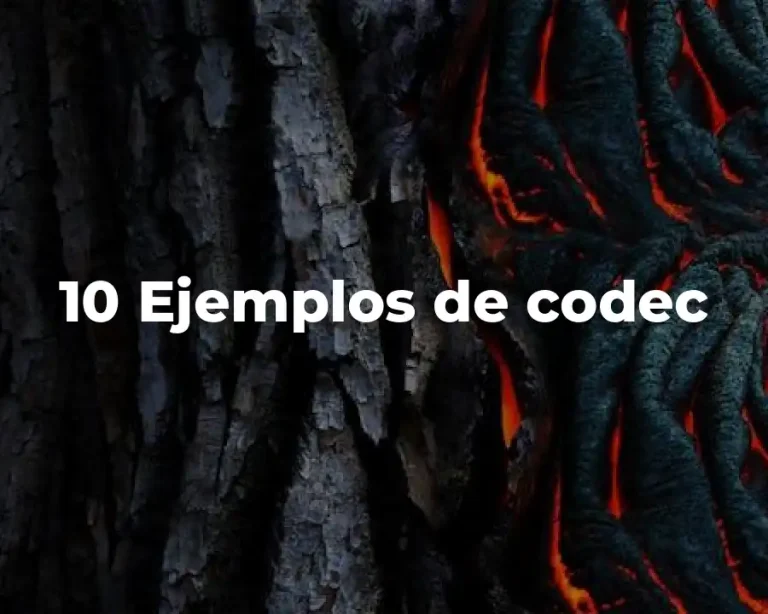 10 Ejemplos de codec