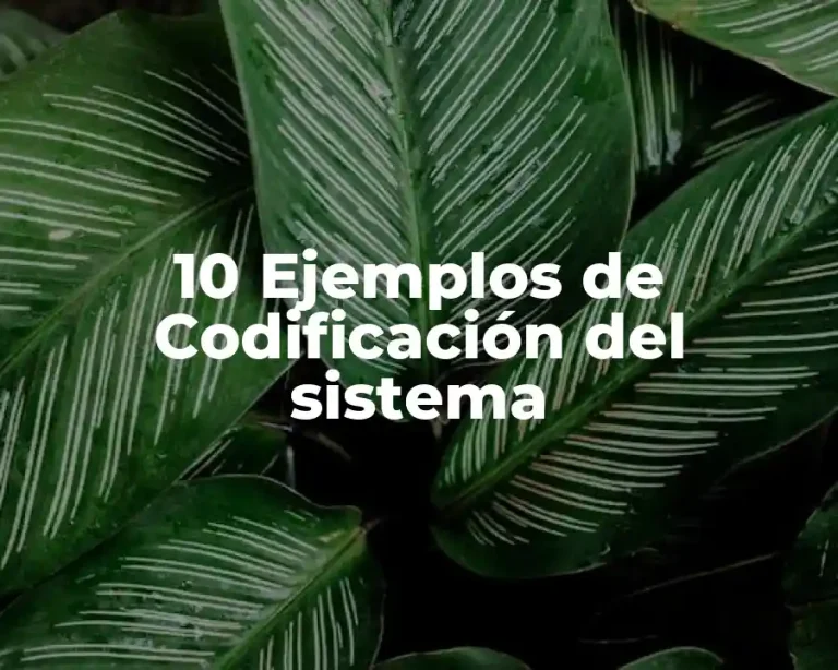 10 Ejemplos de Codificación del sistema