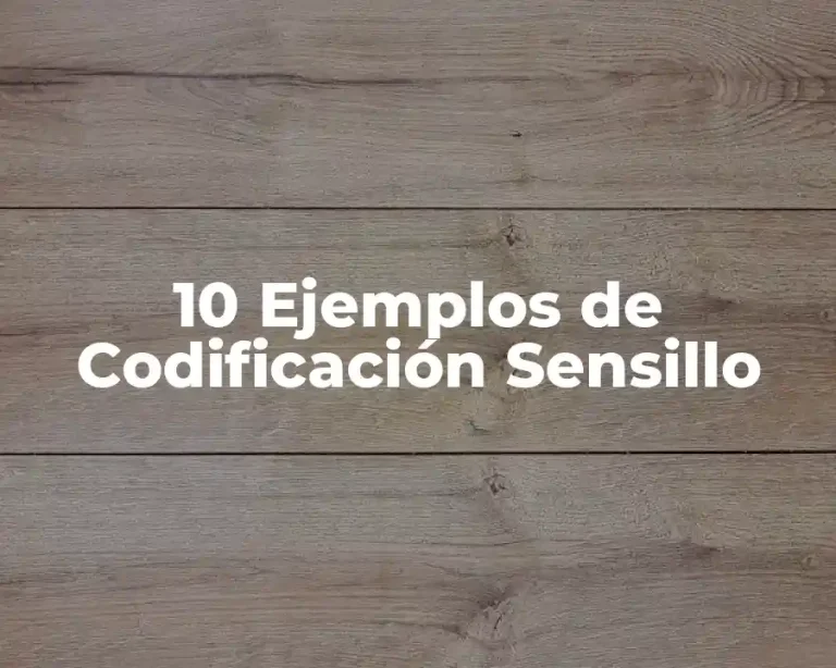 10 Ejemplos de Codificación Sensillo
