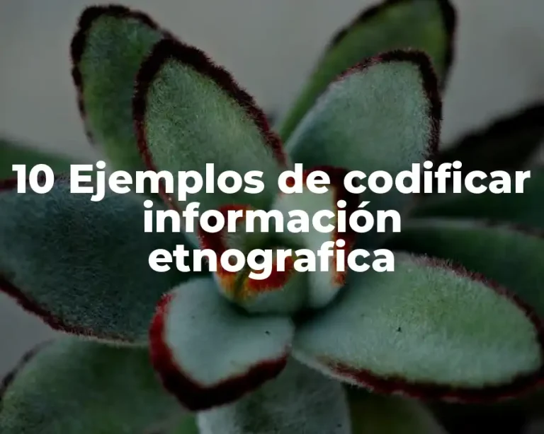 10 Ejemplos de codificar información etnografica