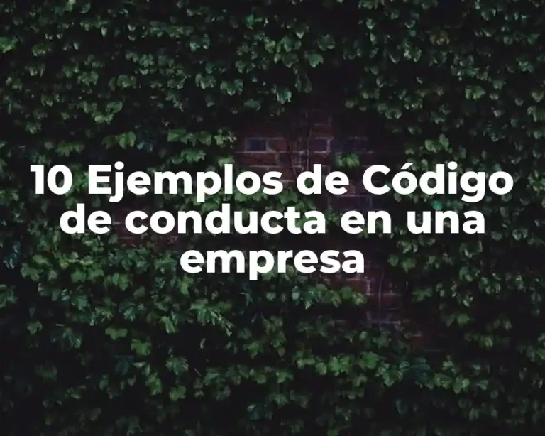 10 Ejemplos de Código de conducta en una empresa