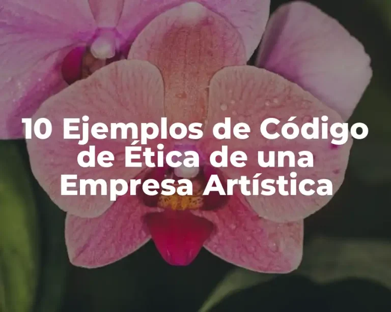 10 Ejemplos de Código de Ética de una Empresa Artística