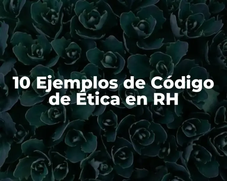 10 Ejemplos de Código de Ética en RH