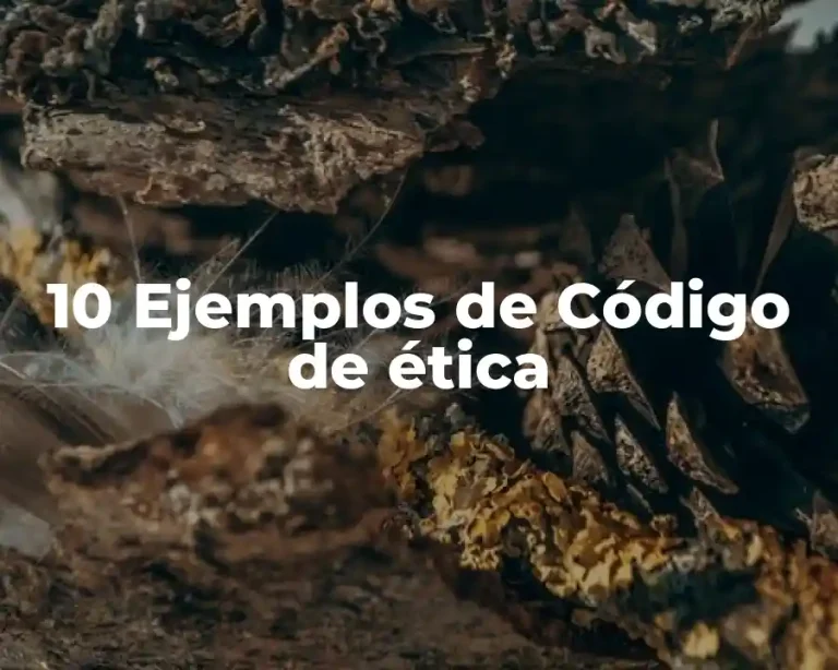10 Ejemplos de Código de ética