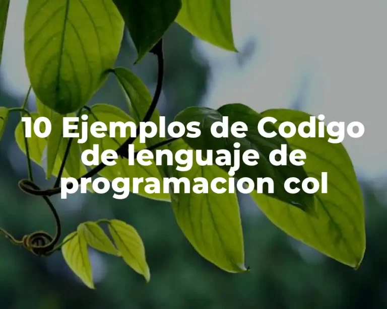 10 Ejemplos de Codigo de lenguaje de programacion col