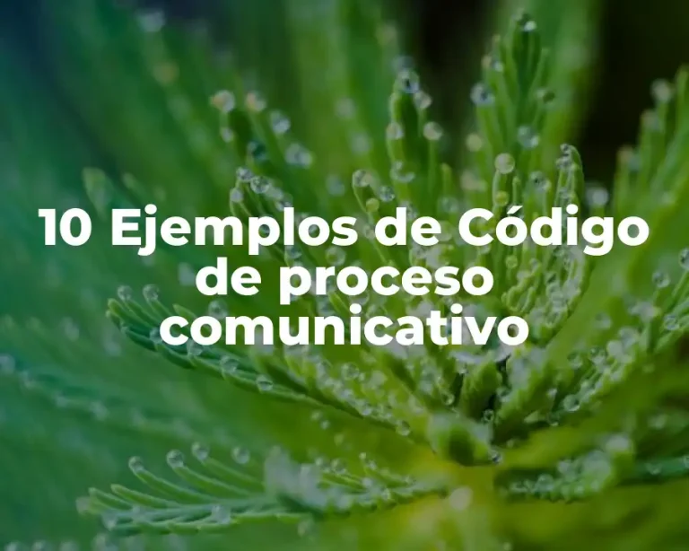 10 Ejemplos de Código de proceso comunicativo