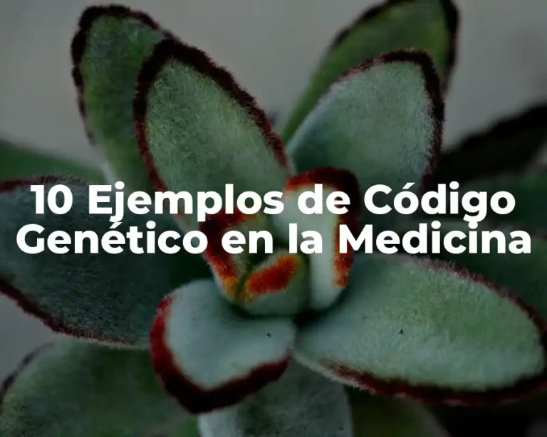 10 Ejemplos de Código Genético en la Medicina