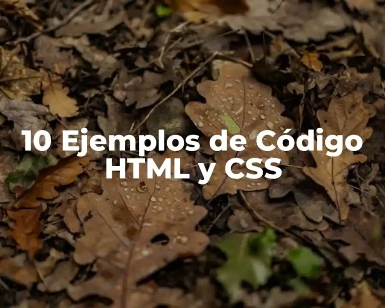 10 Ejemplos de Código HTML y CSS