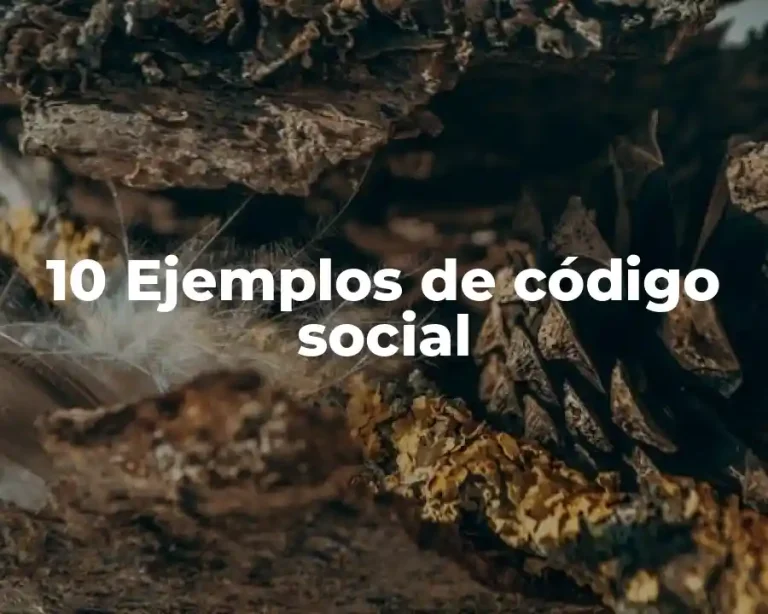 10 Ejemplos de código social