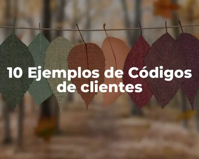 10 Ejemplos de Códigos de clientes
