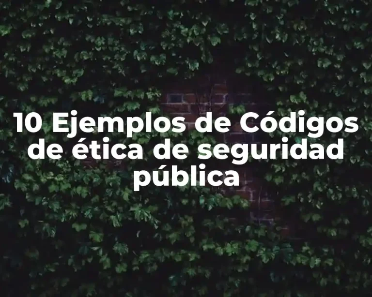 10 Ejemplos de Códigos de ética de seguridad pública