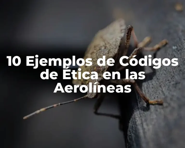 10 Ejemplos de Códigos de Ética en las Aerolíneas