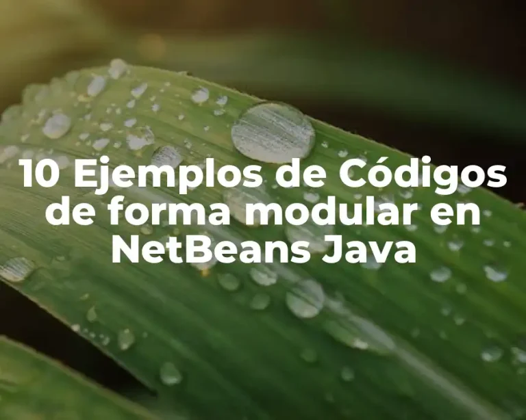 10 Ejemplos de Códigos de forma modular en NetBeans Java