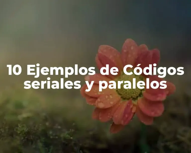 10 Ejemplos de Códigos seriales y paralelos