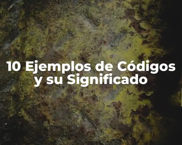 10 Ejemplos de Códigos y su Significado