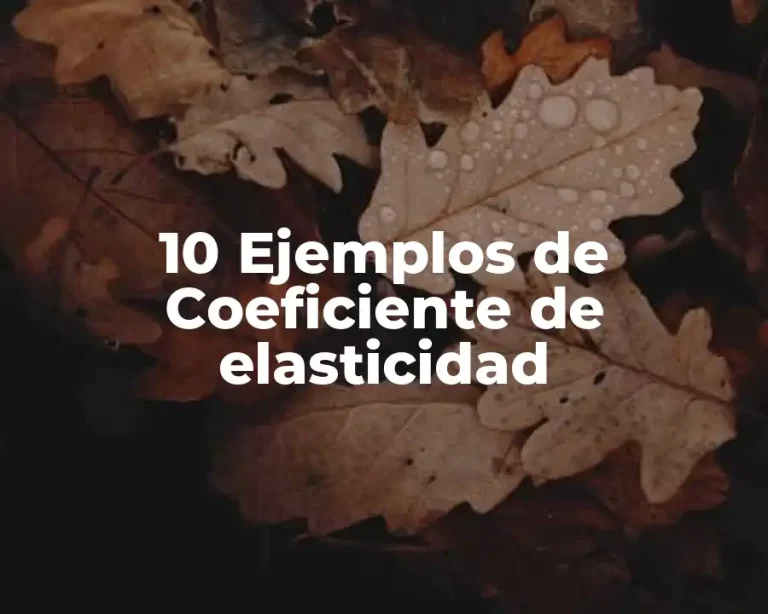 10 Ejemplos de Coeficiente de elasticidad