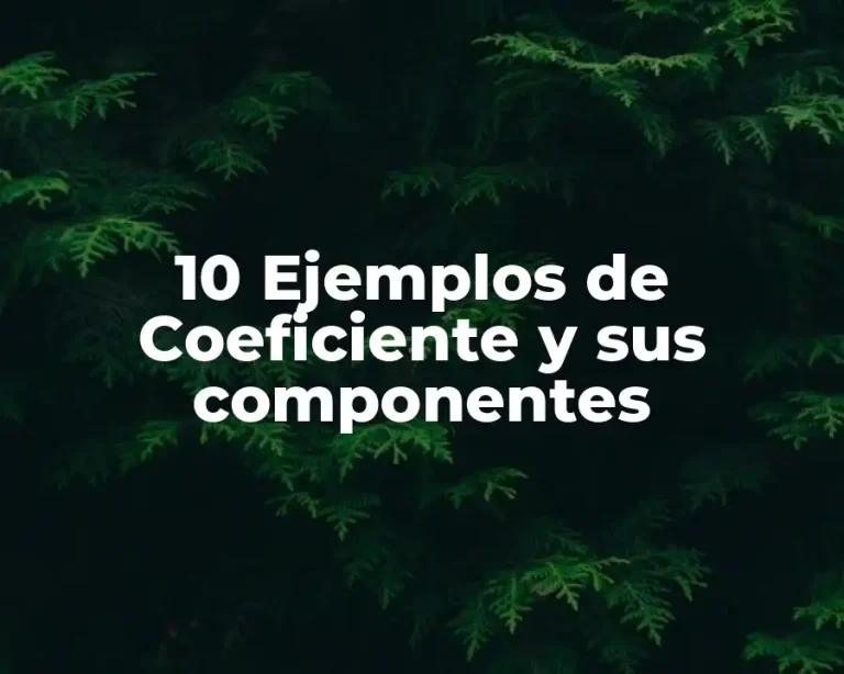 10 Ejemplos de Coeficiente y sus componentes