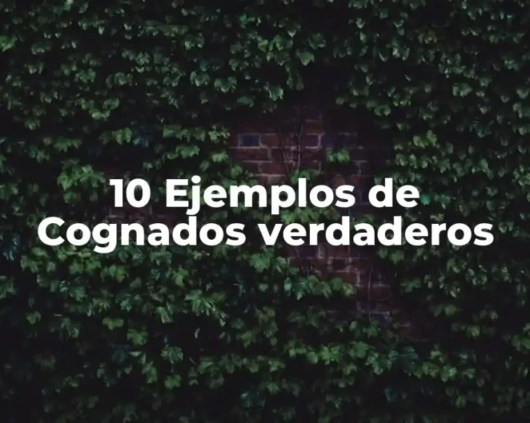 10 Ejemplos de Cognados verdaderos