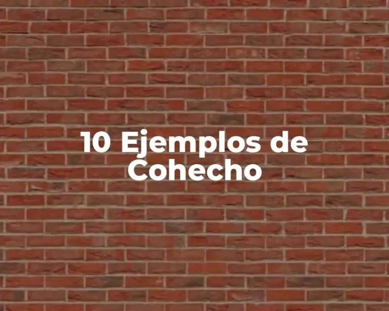 10 Ejemplos de Cohecho