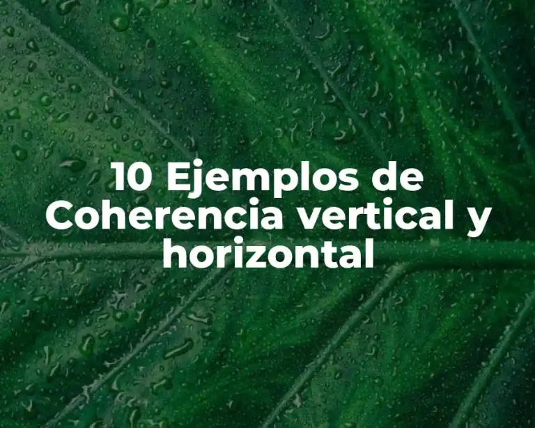 10 Ejemplos de Coherencia vertical y horizontal