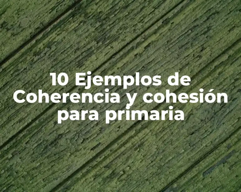 10 Ejemplos de Coherencia y cohesión para primaria