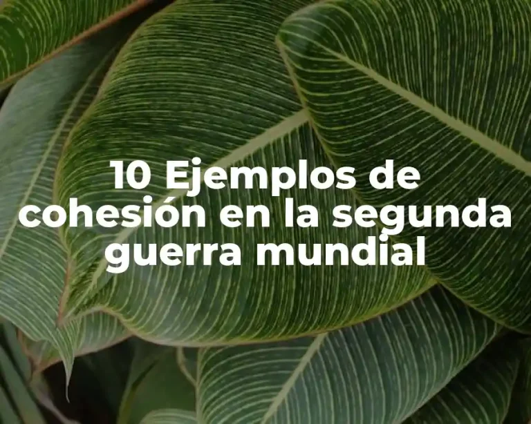10 Ejemplos de cohesión en la segunda guerra mundial