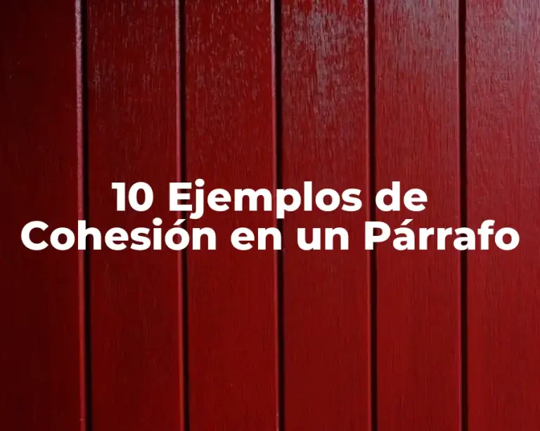 10 Ejemplos de Cohesión en un Párrafo