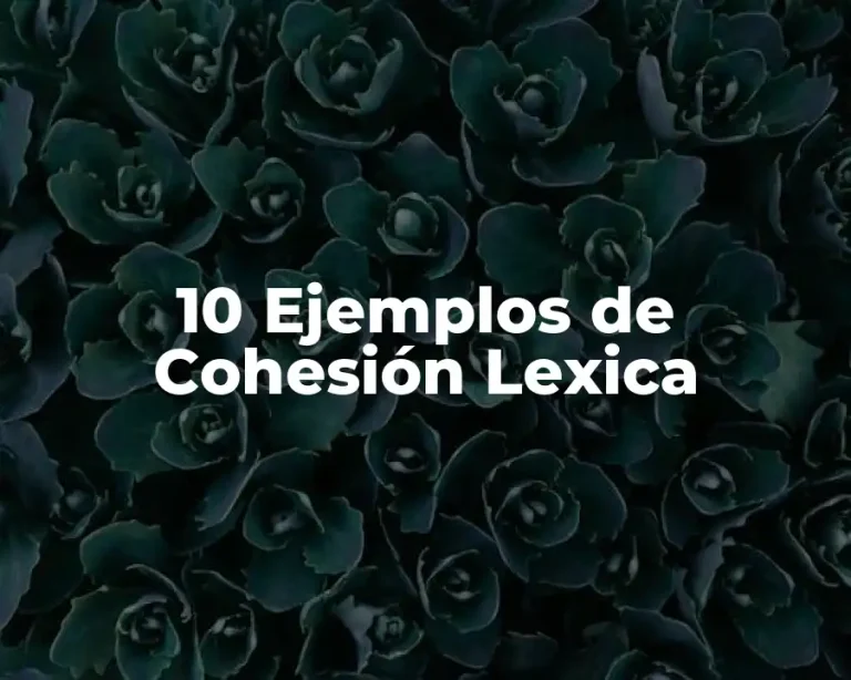 10 Ejemplos de Cohesión Lexica