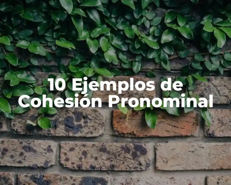 10 Ejemplos de Cohesión Pronominal