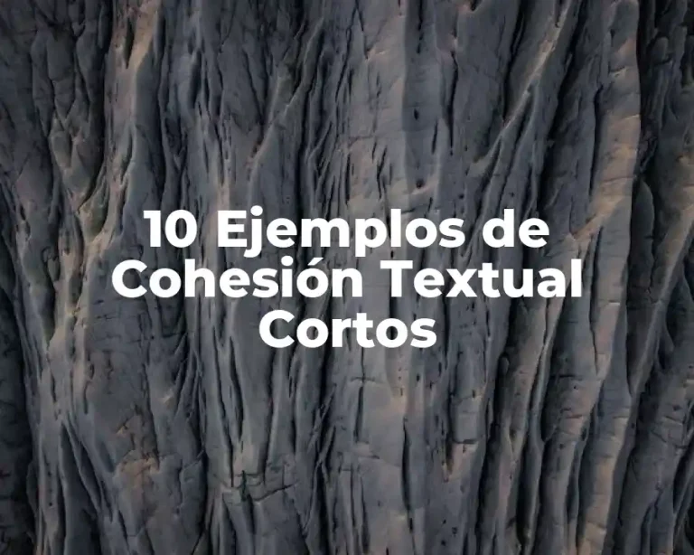 10 Ejemplos de Cohesión Textual Cortos