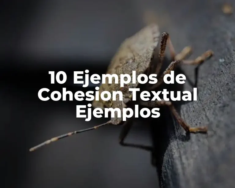 10 Ejemplos de Cohesion Textual Ejemplos