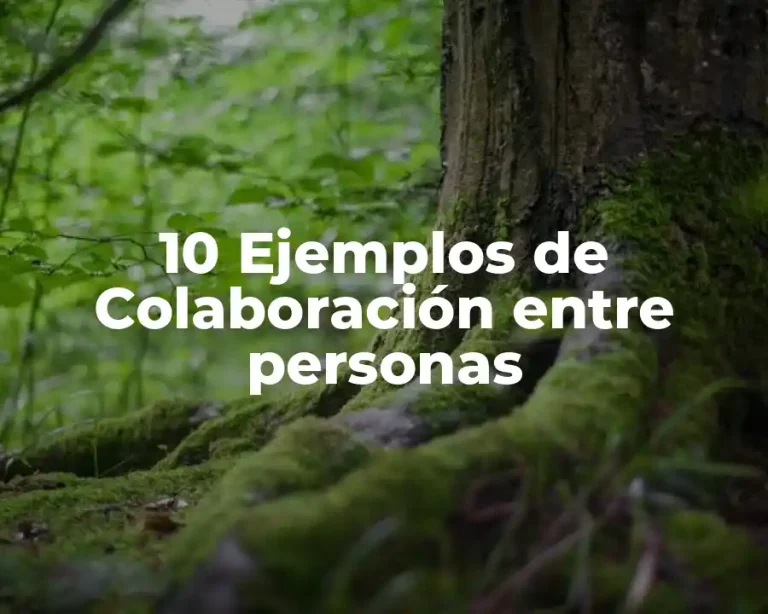 10 Ejemplos de Colaboración entre personas