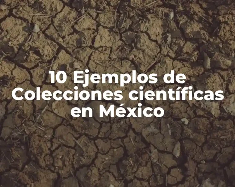 10 Ejemplos de Colecciones científicas en México
