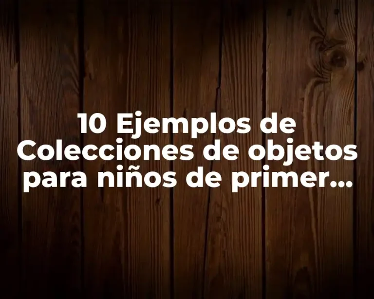 10 Ejemplos de Colecciones de objetos para niños de primer grado