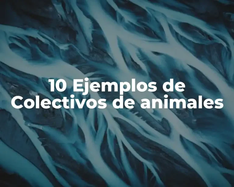 10 Ejemplos de Colectivos de animales