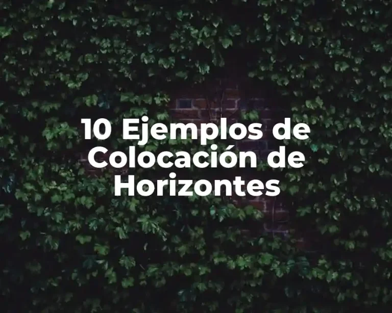 10 Ejemplos de Colocación de Horizontes