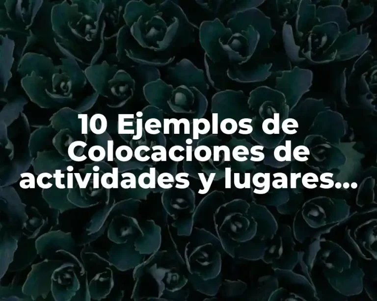 10 Ejemplos de Colocaciones de actividades y lugares de descanso
