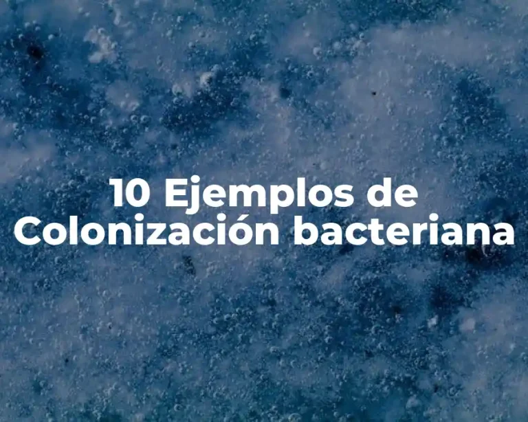 10 Ejemplos de Colonización bacteriana