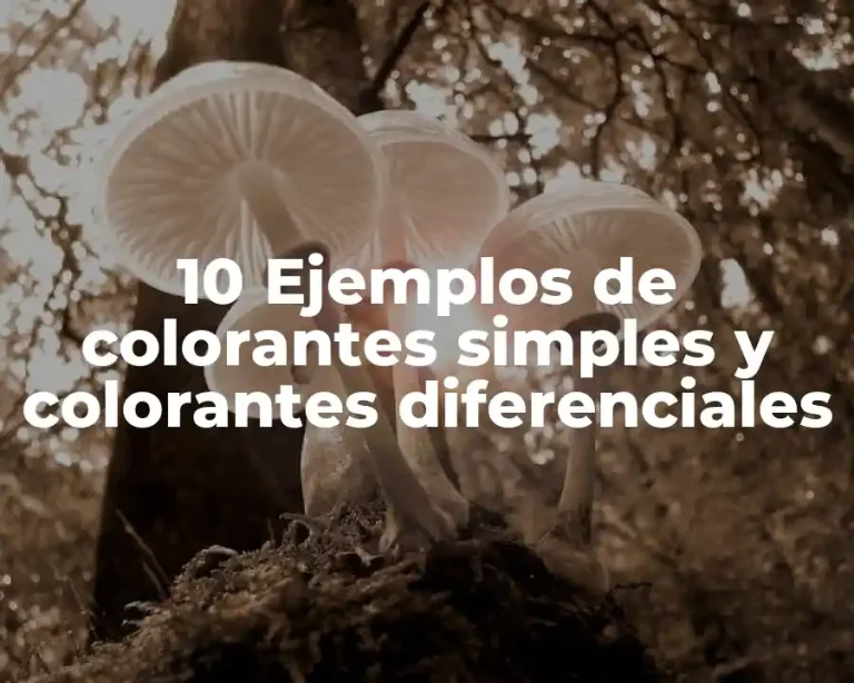 10 Ejemplos de colorantes simples y colorantes diferenciales