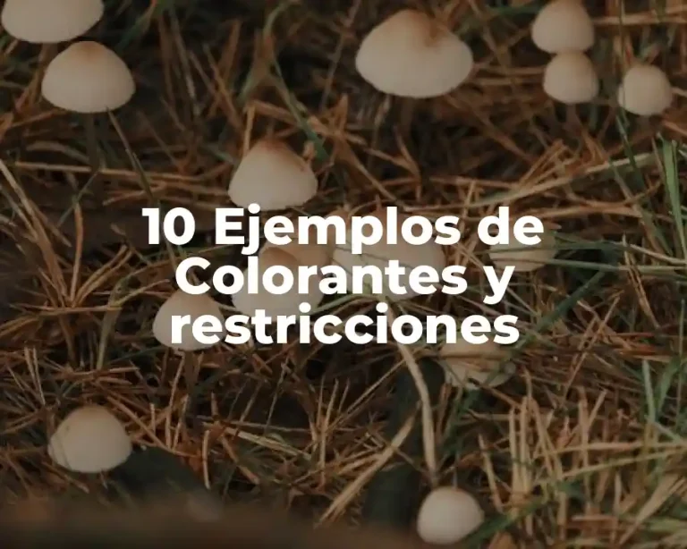 10 Ejemplos de Colorantes y restricciones