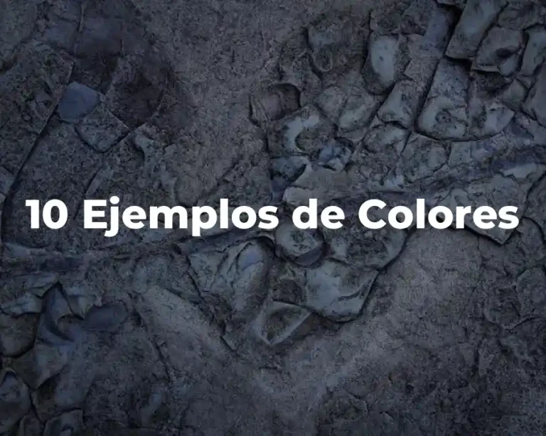 10 Ejemplos de Colores