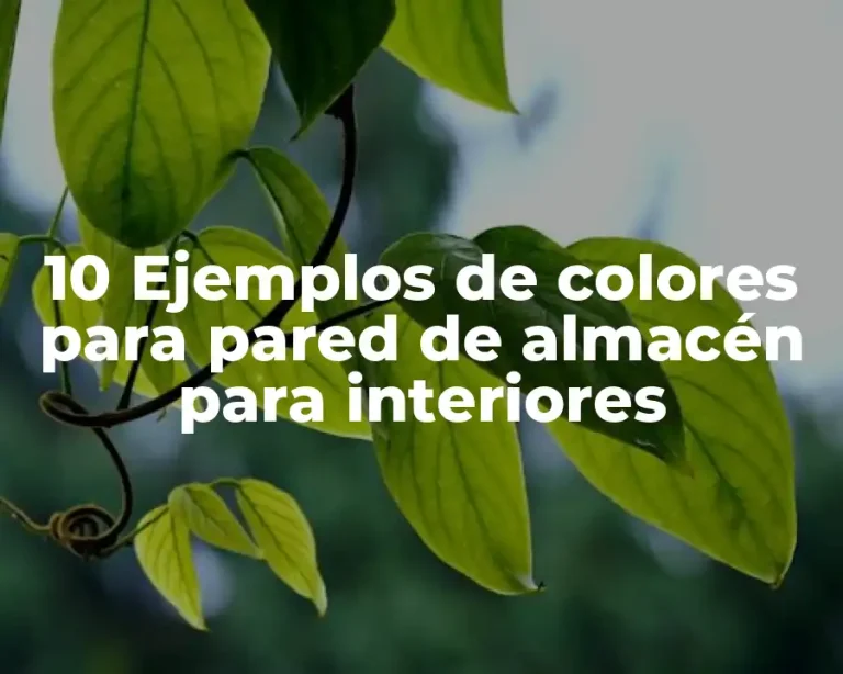 10 Ejemplos de colores para pared de almacén para interiores