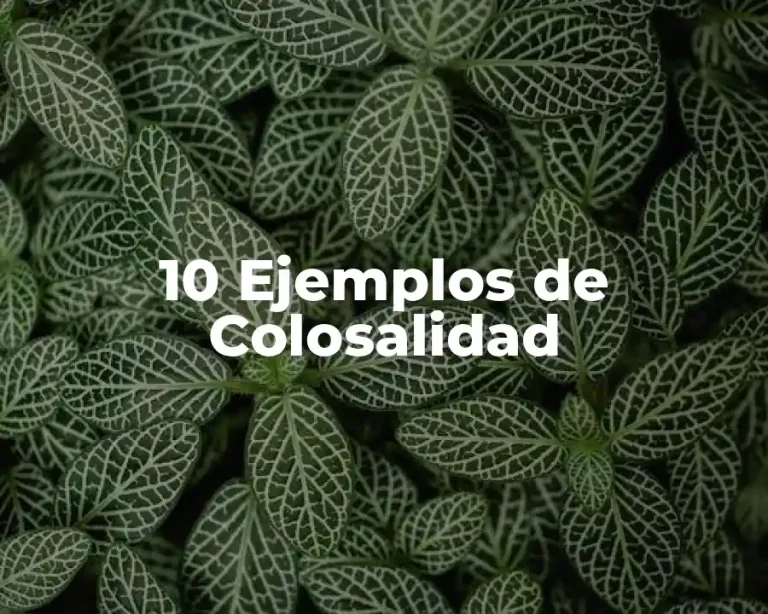10 Ejemplos de Colosalidad