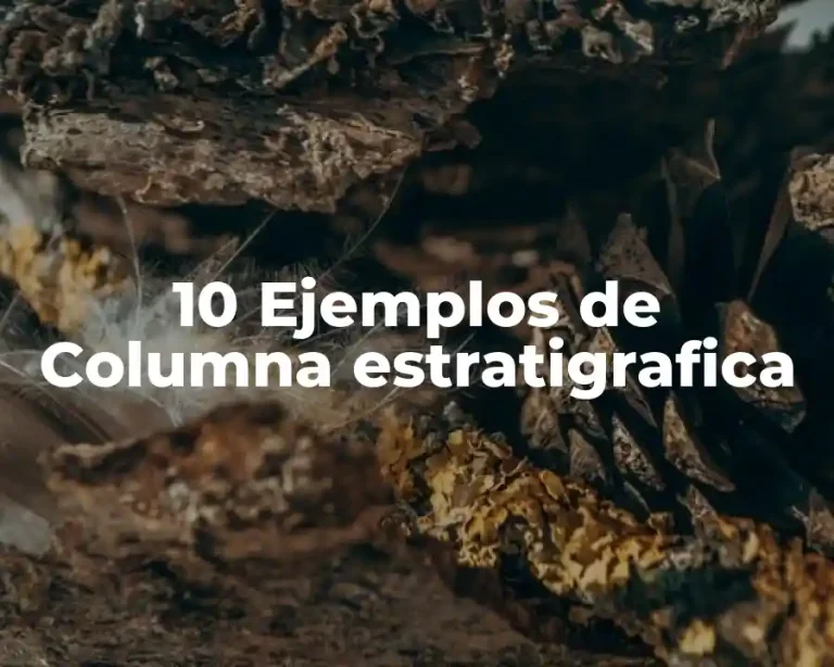 10 Ejemplos de Columna estratigrafica