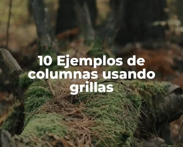 10 Ejemplos de columnas usando grillas