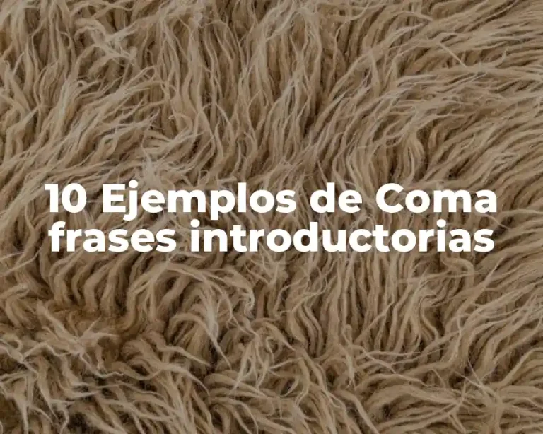 10 Ejemplos de Coma frases introductorias