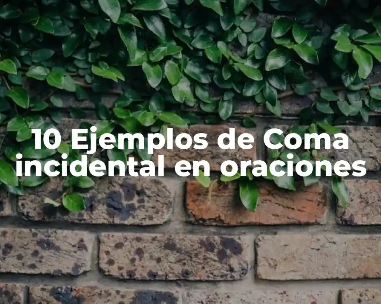 10 Ejemplos de Coma incidental en oraciones